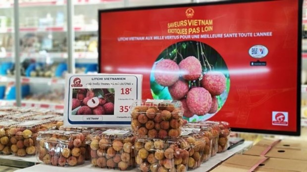 Promouvoir le rôle des Viêt kiêu dans la promotion des produits vietnamiens à l étranger